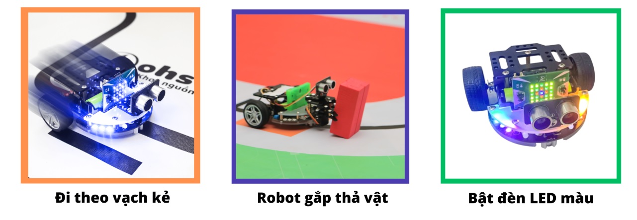 Sa bàn thi đấu Robocon khám phá động Phong Nha