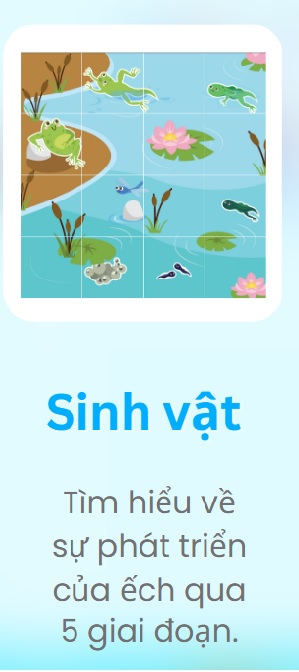 Bản đồ của robot mầm non Rio - Sinh vật
