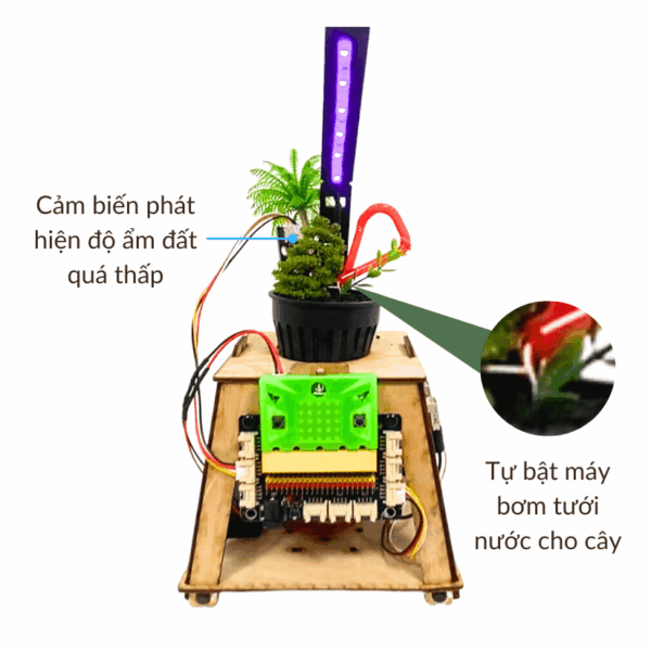 Lập trình Chậu cây thông minh tự tưới nước