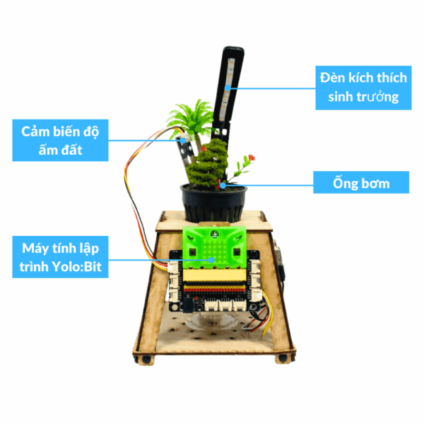 Chậu cây thông minh tự tưới nước
